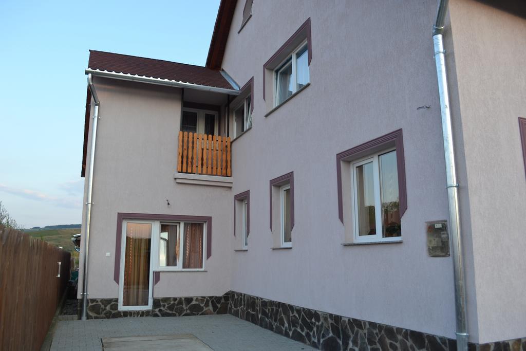 Ersa Panzio Hotel Bisericani  Luaran gambar