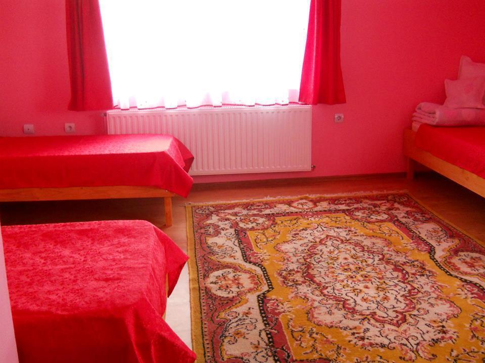 Ersa Panzio Hotel Bisericani  Bilik gambar