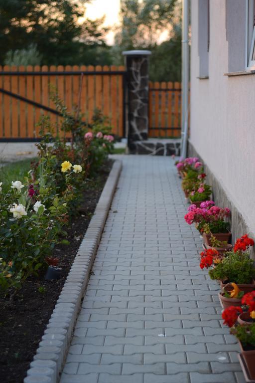 Ersa Panzio Hotel Bisericani  Luaran gambar