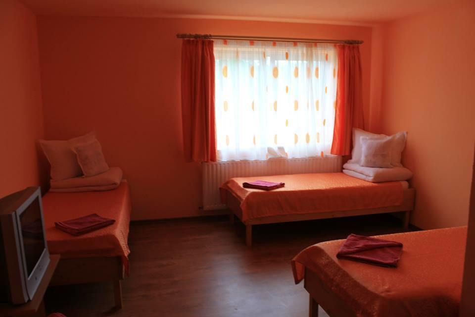 Ersa Panzio Hotel Bisericani  Bilik gambar