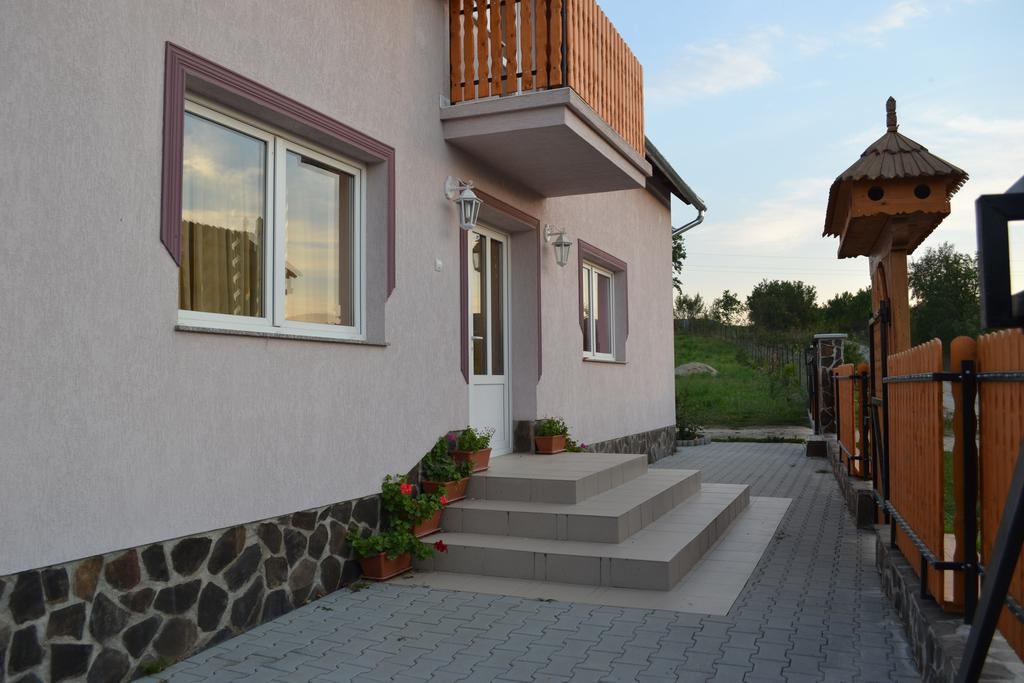 Ersa Panzio Hotel Bisericani  Luaran gambar