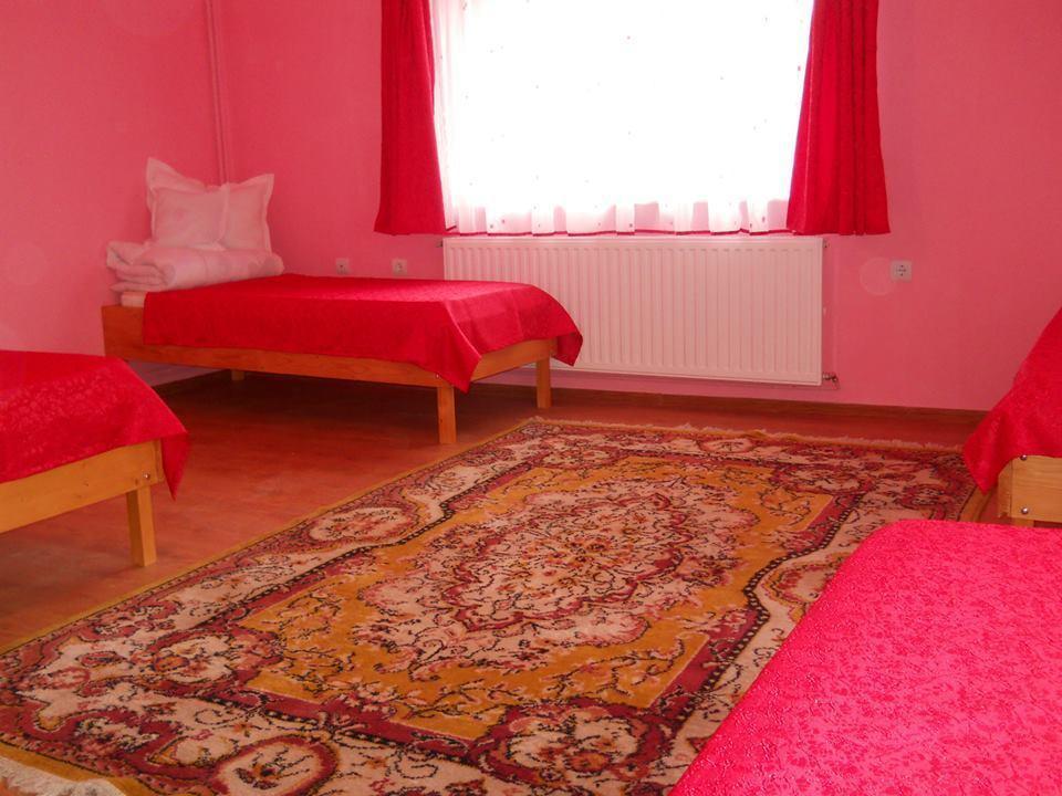 Ersa Panzio Hotel Bisericani  Luaran gambar